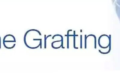 Should You Go for Bone Graft Dental in USA?