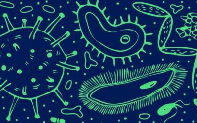 The Good, the Bad & the Neutral Bacteria
